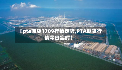 【pta期货1709行情走势,PTA期货行情今日实时】-第3张图片