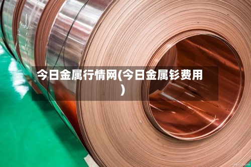 今日金属行情网(今日金属钐费用)-第2张图片