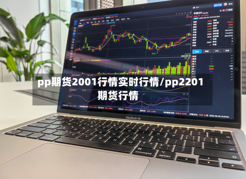pp期货2001行情实时行情/pp2201期货行情-第3张图片