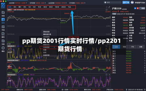 pp期货2001行情实时行情/pp2201期货行情-第2张图片
