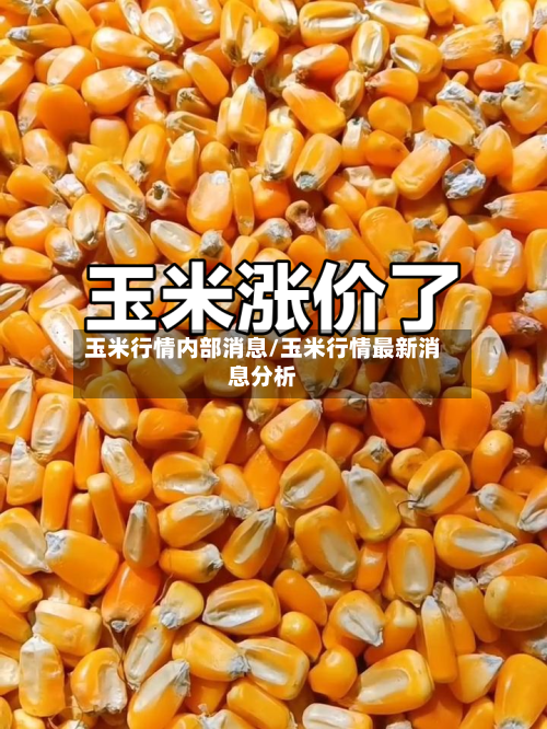 玉米行情内部消息/玉米行情最新消息分析-第2张图片