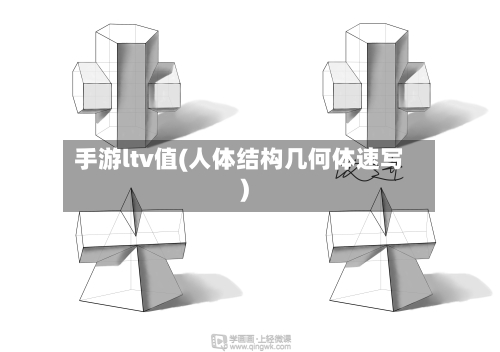 手游ltv值(人体结构几何体速写)