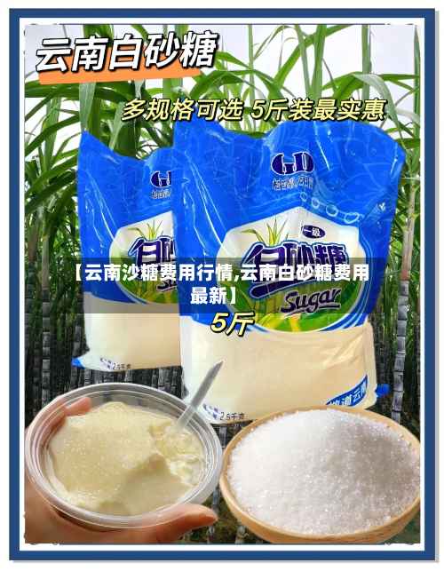 【云南沙糖费用行情,云南白砂糖费用最新】-第2张图片