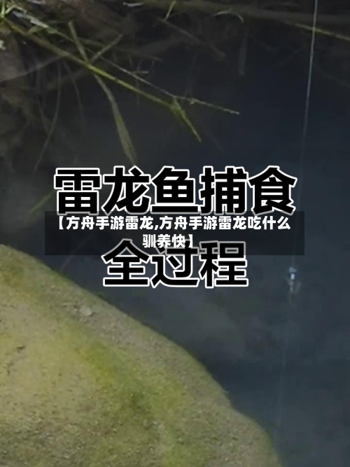【方舟手游雷龙,方舟手游雷龙吃什么驯养快】-第2张图片