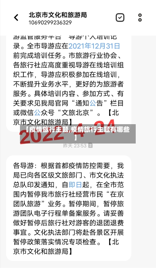 【疫情旅行主题,疫情旅行主题有哪些】-第3张图片