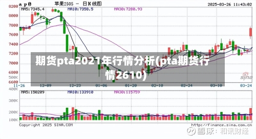 期货pta2021年行情分析(pta期货行情2610)