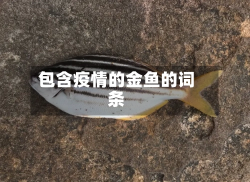 包含疫情的金鱼的词条-第2张图片