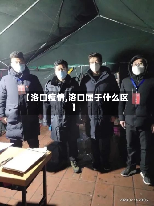 【洛口疫情,洛口属于什么区】-第3张图片