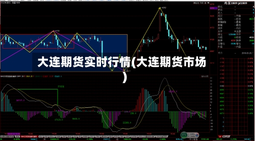 大连期货实时行情(大连期货市场)