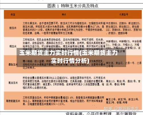 玉米期货主力实时行情(玉米期货主力实时行情分析)