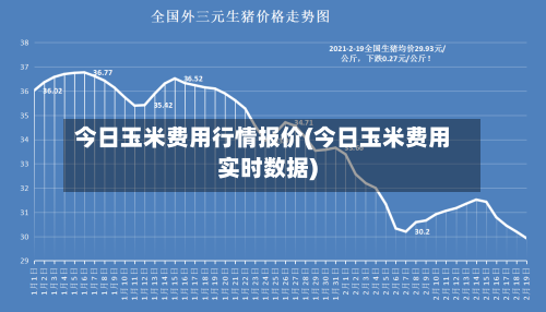今日玉米费用行情报价(今日玉米费用实时数据)-第3张图片