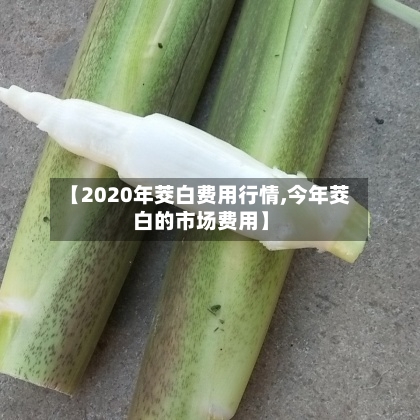【2020年茭白费用行情,今年茭白的市场费用】