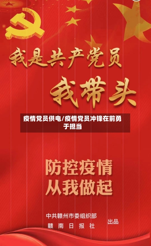 疫情党员供电/疫情党员冲锋在前勇于担当-第3张图片