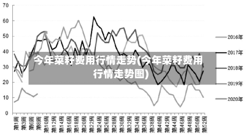 今年菜籽费用行情走势(今年菜籽费用行情走势图)-第2张图片