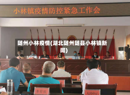 随州小林疫情(湖北随州随县小林镇新闻)-第3张图片