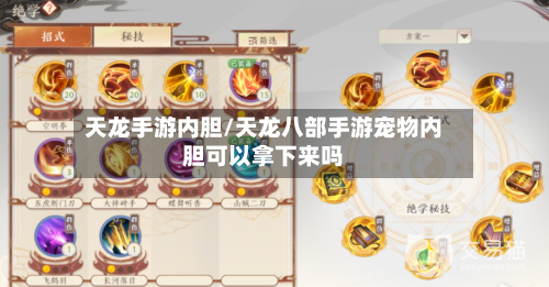 天龙手游内胆/天龙八部手游宠物内胆可以拿下来吗