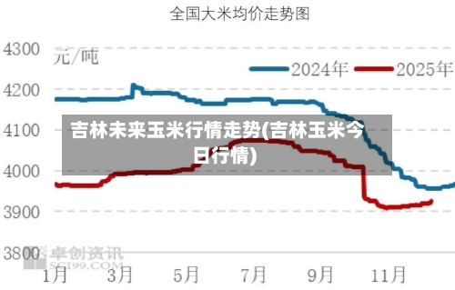 吉林未来玉米行情走势(吉林玉米今日行情)