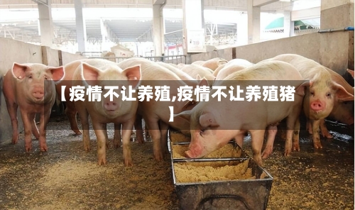 【疫情不让养殖,疫情不让养殖猪】-第2张图片