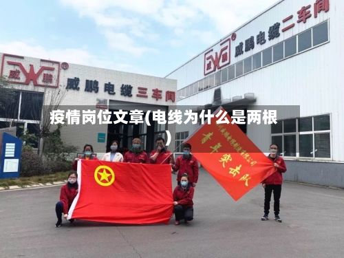 疫情岗位文章(电线为什么是两根)