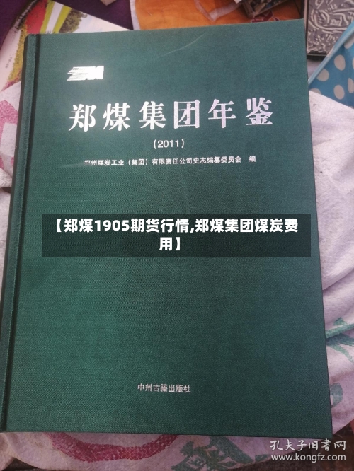 【郑煤1905期货行情,郑煤集团煤炭费用】-第3张图片