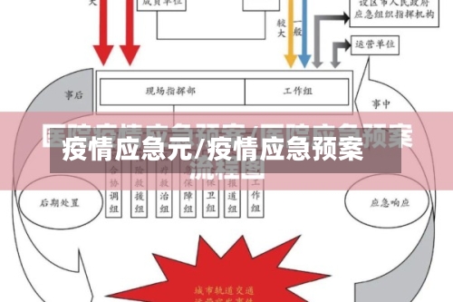 疫情应急元/疫情应急预案-第2张图片