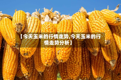 【今天玉米的行情走势,今天玉米的行情走势分析】