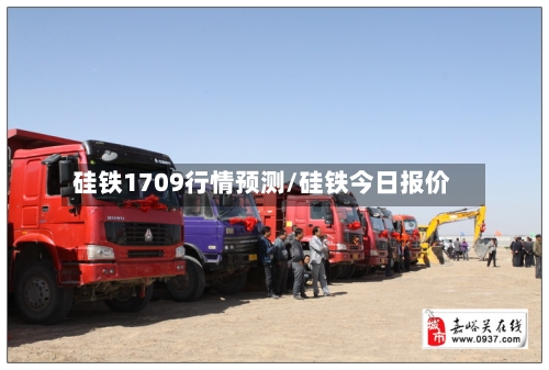 硅铁1709行情预测/硅铁今日报价-第2张图片