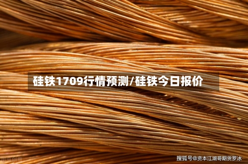 硅铁1709行情预测/硅铁今日报价-第3张图片