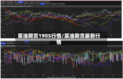 菜油期货1905行情/菜油期货最新行情-第2张图片