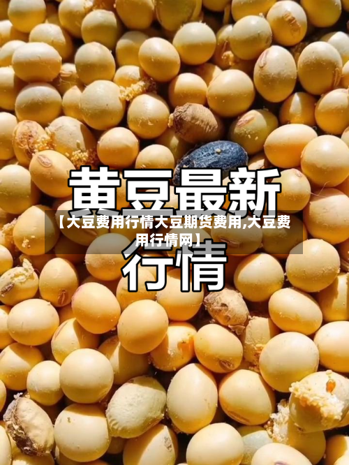 【大豆费用行情大豆期货费用,大豆费用行情网】-第3张图片