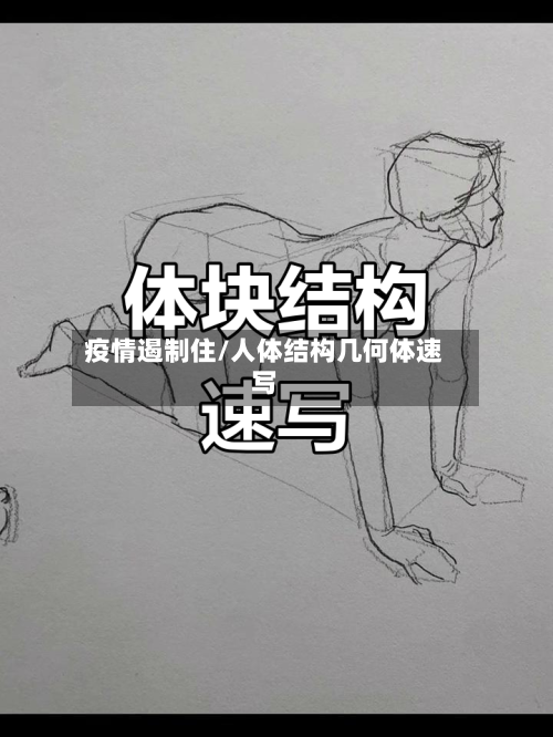 疫情遏制住/人体结构几何体速写-第3张图片