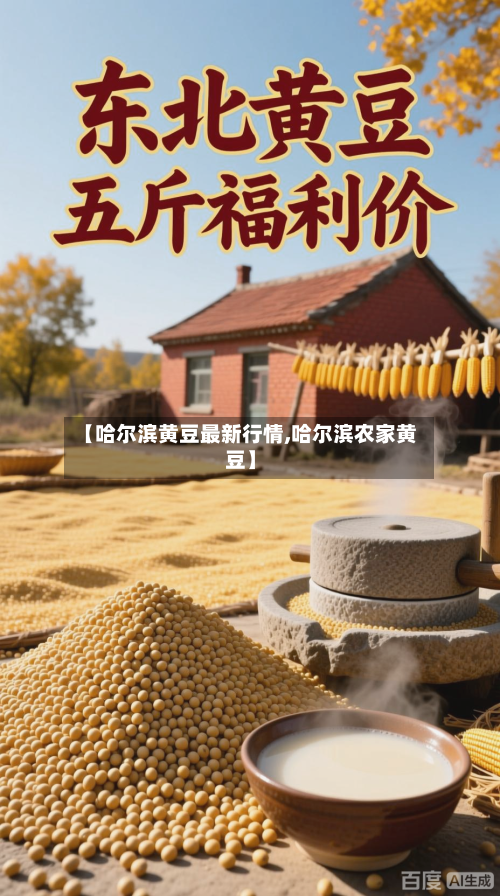 【哈尔滨黄豆最新行情,哈尔滨农家黄豆】-第2张图片