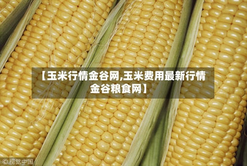 【玉米行情金谷网,玉米费用最新行情金谷粮食网】-第3张图片