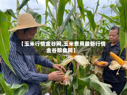 【玉米行情金谷网,玉米费用最新行情金谷粮食网】-第2张图片