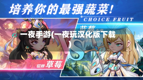 一夜手游(一夜玩汉化版下载)
