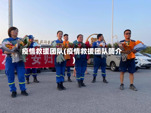 疫情救援团队(疫情救援团队简介)-第2张图片