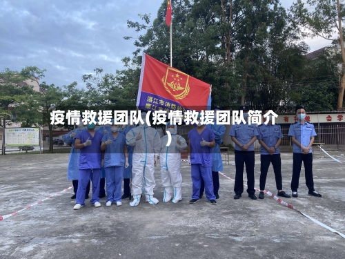 疫情救援团队(疫情救援团队简介)