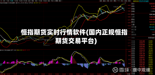 恒指期货实时行情软件(国内正规恒指期货交易平台)-第2张图片