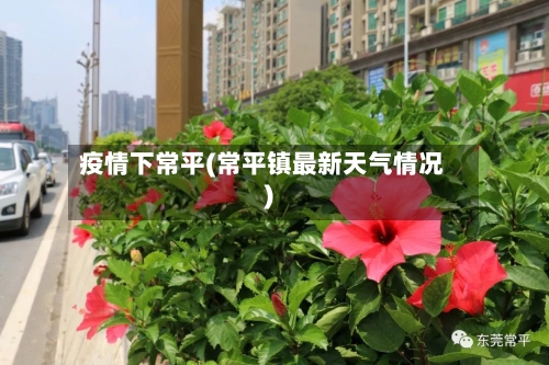 疫情下常平(常平镇最新天气情况)-第2张图片