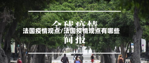 法国疫情观点/法国疫情观点有哪些