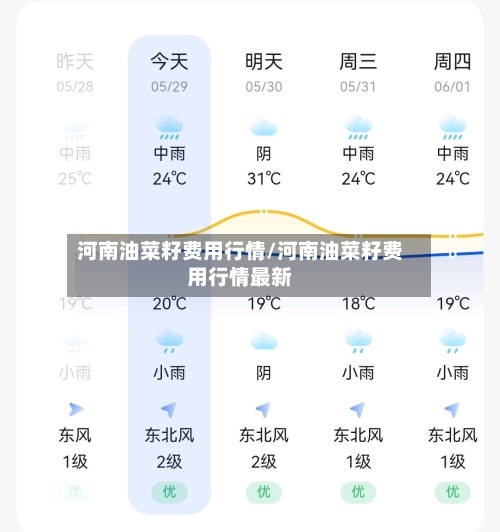 河南油菜籽费用行情/河南油菜籽费用行情最新-第2张图片