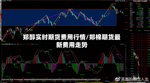 郑醇实时期货费用行情/郑棉期货最新费用走势