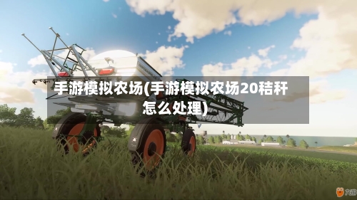 手游模拟农场(手游模拟农场20秸秆怎么处理)-第2张图片