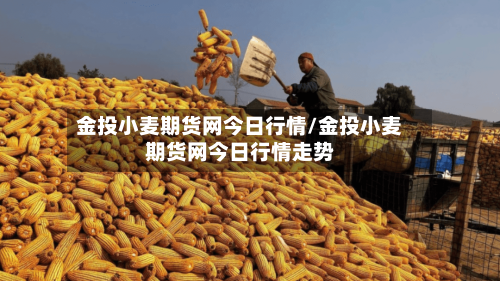 金投小麦期货网今日行情/金投小麦期货网今日行情走势-第2张图片