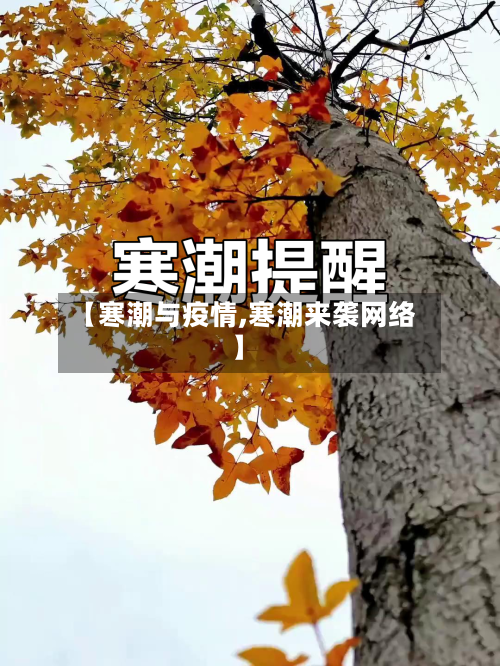 【寒潮与疫情,寒潮来袭网络】