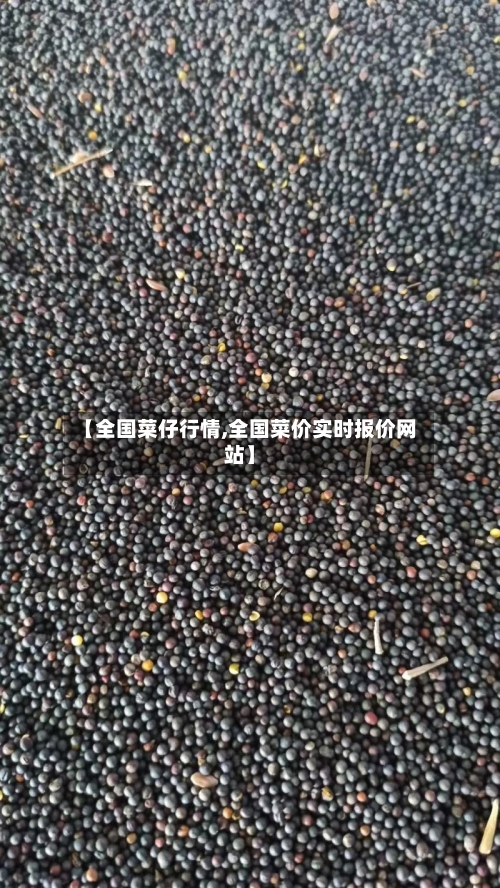 【全国菜仔行情,全国菜价实时报价网站】-第3张图片