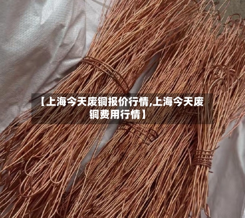 【上海今天废铜报价行情,上海今天废铜费用行情】