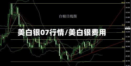 美白银07行情/美白银费用
