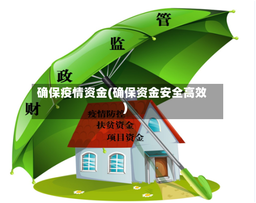 确保疫情资金(确保资金安全高效)-第2张图片
