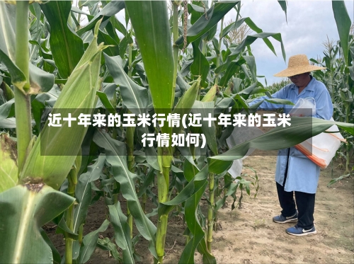 近十年来的玉米行情(近十年来的玉米行情如何)-第2张图片